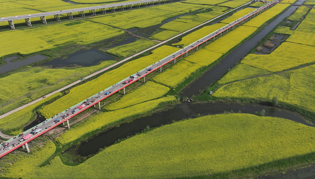 清明假期;消费数据;亲子研学;租车订单