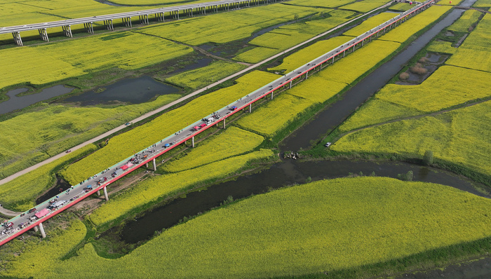 清明假期;消费数据;亲子研学;租车订单