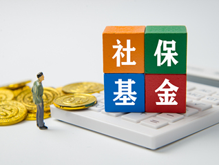 全國社?；鸶崩硎麻L王文靈被查，長期在金融領(lǐng)域任職