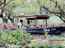 周杰倫演唱會撬動清明文旅消費，杭州探索“文旅商體演”融合新路徑