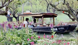 周杰倫演唱會撬動清明文旅消費(fèi)，杭州探索“文旅商體演”融合新路徑