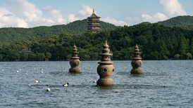 地方新聞精選 | 西湖將撒入7噸漂白粉 3人虛假擺拍“深山救助流浪女”被拘