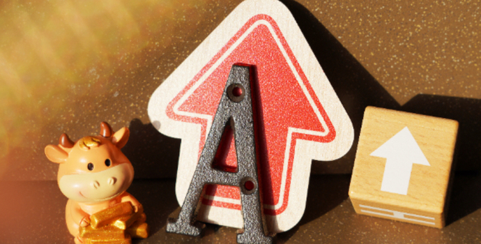 “牛市旗手”大涨！A股一度重返4000点，后市将怎么走？