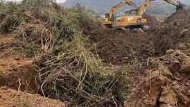 追踪｜“非粮化”整治下四川宜宾百亩苗圃被毁，法院确认镇政府违法