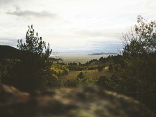 当人越来越像机器，如何重寻“活人感”？