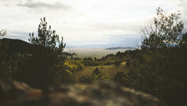 当人越来越像机器，如何重寻“活人感”？