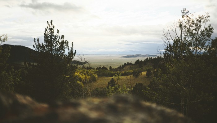 当人越来越像机器，如何重寻“活人感”？
