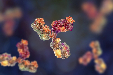 出海交易总额60亿美元，但映恩生物依然有点“缺钱”