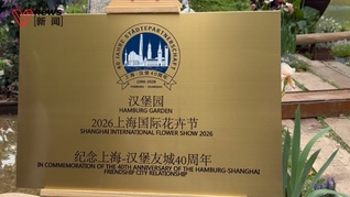 上海与汉堡结好40周年，“汉堡园”在沪揭幕，亮相上海国际花卉节