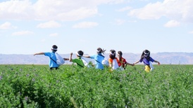 直通部委｜发改委鼓励更多地方探索中小学春秋假 市监总局开展传统工艺市场打假行动