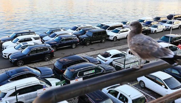 美伊冲突让二手电车卖爆了 | 电厂