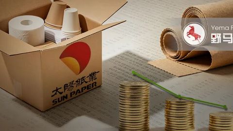 增产不增收，“山东富豪”靠什么守住400亿太阳纸业？