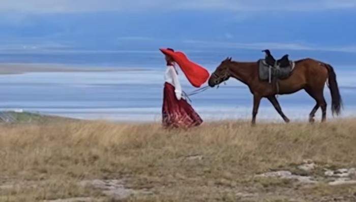 贺娇龙账号;时隔100天更新;90后清华学子;接任品味新疆推荐官