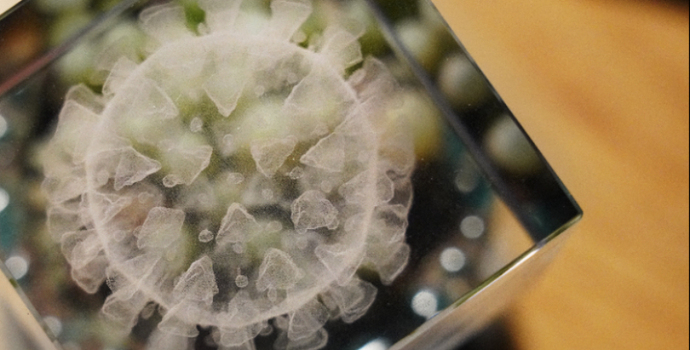 直通部委｜4月以来流感和鼻病毒活动水平上升 我国普氏野马种群数量已近千匹