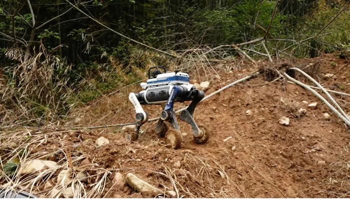 人工智能,杭州机器人出货量;杭州“六小龙”;去年盈利