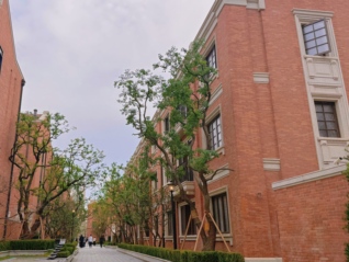 上海风貌别墅全面进入竞争“红海”