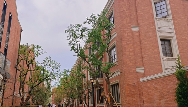 上海风貌别墅;竞争红海