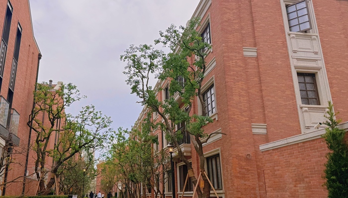 上海风貌别墅;竞争红海