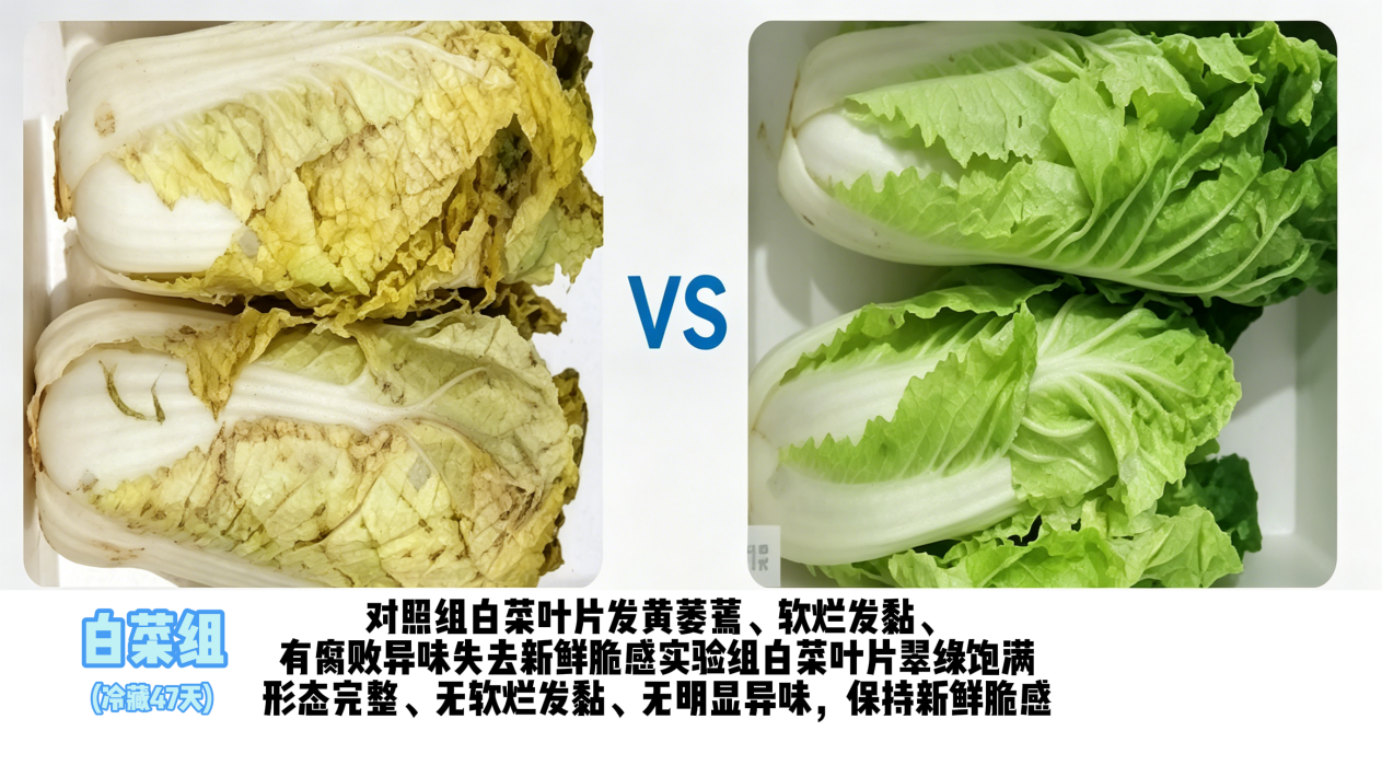 对比图