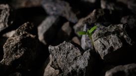 将7项国家秘密非法提供给境外，某稀土公司副总被判11年半