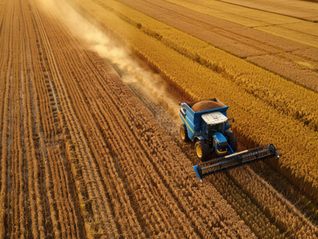 直通部委｜农业农村部要求妥善解决土地延包矛盾纠纷 15部门开展伤害预防控制行动