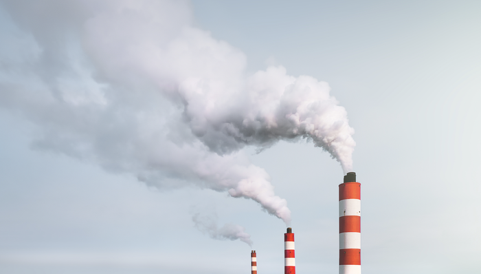 高耗能,高排放,界面快评；两高项目；碳排放减量置换