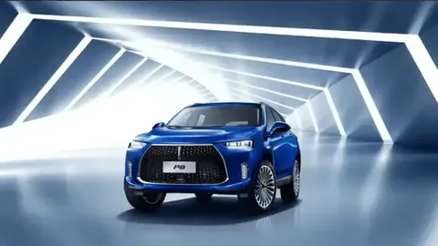 魏建军惺惺相惜董小姐