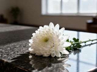 深度｜回归公益后，中国殡葬业走向何方？