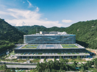 华大基因2025年报：业绩修复筑底，三引擎拓宽估值路径