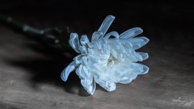 界面快评 | 生态园惊现豪华墓地，监管不能全链条失守