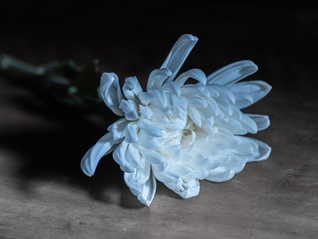 界面快评 | 生态园惊现豪华墓地，监管不能全链条失守