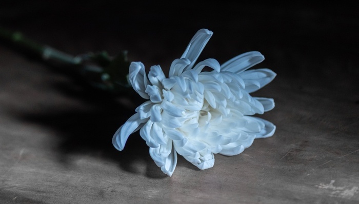 生态园;豪华墓地;监管;全链条失守