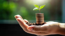 地方新闻精选 | 吉林将建立个人碳账户激励绿色生活 曲靖14岁少年杀害女同学被判无期