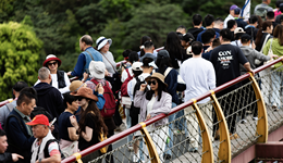 “护航”五一假期，多地出重拳打击强制消费等乱象