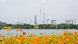 “一人公司”落地广州：从场景验证到种子轮融资