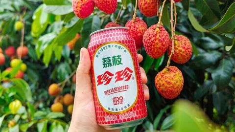 国产汽水“北伐南征”，珍珍的“荔枝味”不香了？