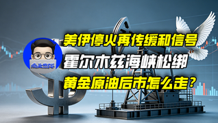 美伊停火再传缓和信号，霍尔木兹海峡松绑，黄金原油后市怎么走？｜商业微史记
