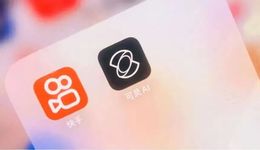 快手断臂求生，可灵出去找钱？