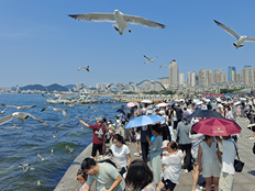 商务部最新发声，支持有条件地区申创服务贸易发展示范区