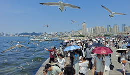 商务部最新发声，支持有条件地区申创服务贸易发展示范区