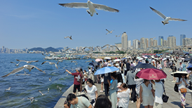 商务部最新发声，支持有条件地区申创服务贸易发展示范区