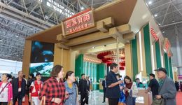 改标、换人、推新，迎驾贡酒如何“重生”？