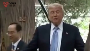 特朗普赞叹中南海园中古树，“待惯了的话可能都舍不得走”