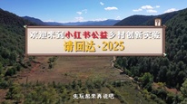 视听中国系列2025温暖中国 | 《创造有意司“请回达·2025”》