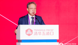 【专访】张礼卿：人民币国际化需要更多地通过金融渠道来实现