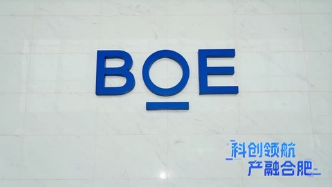 科创领航·产融合肥｜财联社刘梦然：合肥不仅是“风投之城”，更有“雨林式”滋养