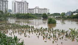 重庆特大暴雨已致9人死亡！紧急避险转移工作正在推进
