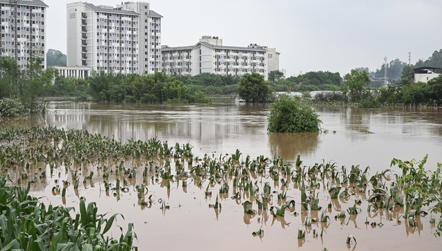 暴雨,;重庆特大暴雨;9人死亡;紧急避险转移