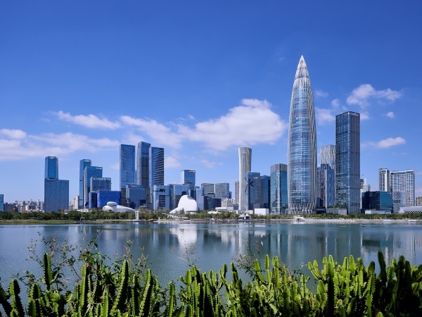 深圳湾澐玺;住宅;最后88席;上新;全国资本;竞逐深圳湾