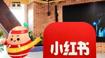 曝小红书获世界杯转播权，成为除央视、咪咕外唯一持权方
